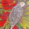 Grey Parrot Art Paint By Numbers