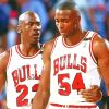 Horace Grant And Michael Jordan Paint By Numbers