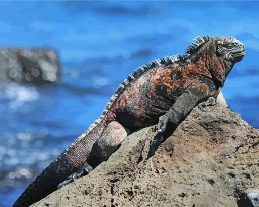 Marine Iguana Paint By Numbers