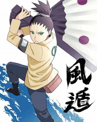 Naruto Shikadai Nara Paint By Numbers