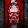 Nottingham Forest Paint By Numbers