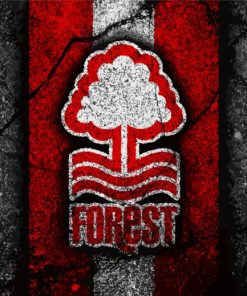 Nottingham Forest Paint By Numbers