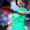 Petr Čech Former Football Player Paint By Numbers