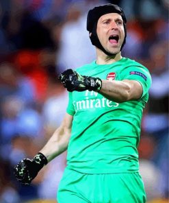 Petr Čech Former Football Player Paint By Numbers