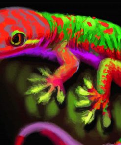 Rainbow Colourful Gecko Paint By Numbers