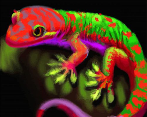 Rainbow Colourful Gecko Paint By Numbers