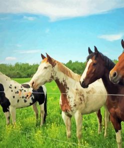 Ranch And Horses Animals Paint By Numbers