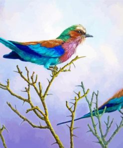 Roller Bird On Tree Paint By Numbers