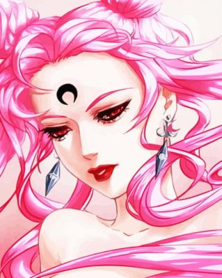 Sailor Moon Character Chibiusa Art Paint By Numbers