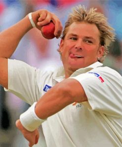 Shane Warne Paint By Numbers