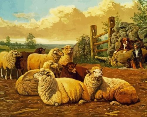 Sheep And Dog In The Farm Paint By Numbers