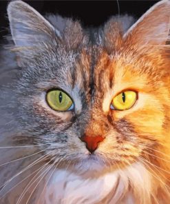 Siberian Cat Face Paint By Numbers