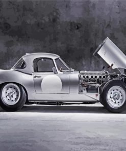 Silver Jaguar E Type Paint By Numbers