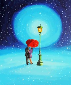 Snow Date At Night Paint By Numbers