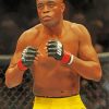 Spider Anderson Silva Paint By Numbers