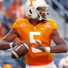 Tennessee Volunteers Football Paint By Numbers