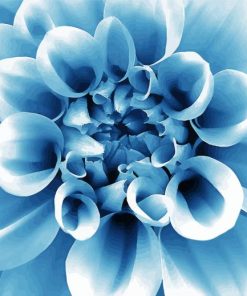 The Blue Dahlia Paint By Numbers