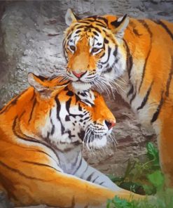 Tiger Couple Paint By Numbers