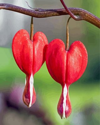 Two Red Bleeding Heart Paint By Numbers