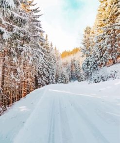 Winter Road With Snowy Landscape Paint By Numbers