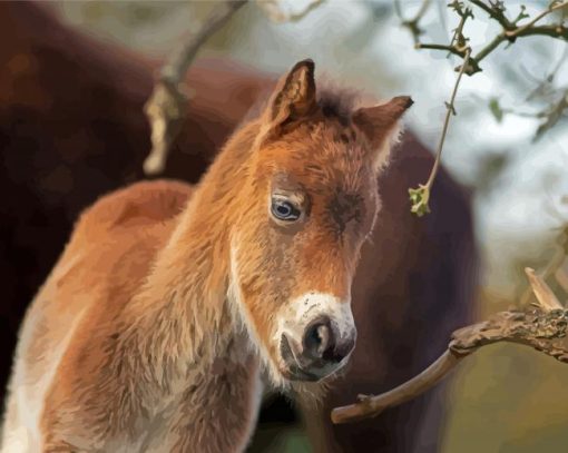 Adorable Horse Foal Paint By Numbers