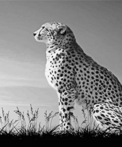 Aesthetic Black And White Cheetah Paint By Numbers