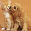 Aesthetic Tabby Kitten And Golden Spaniel Puppy Paint By Numbers