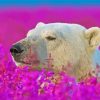 Bear In A Lavender Field Paint By Numbers