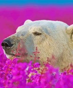 Bear In A Lavender Field Paint By Numbers