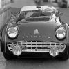 Black And White Triumph TR3A Paint By Numbers