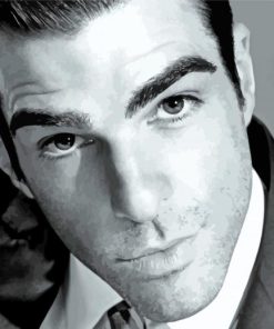 Black And White Zachary Quinto Paint By Numbers