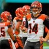 Cincinnati Bengals Paint By Numbers