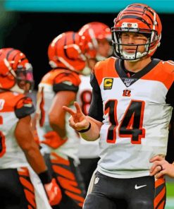 Cincinnati Bengals Paint By Numbers