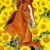 Horse In Sunflower Paint By Numbers