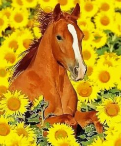 Horse In Sunflower Paint By Numbers