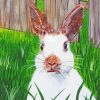 Adorable White Rabbit Paint By Numbers