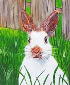 Adorable White Rabbit Paint By Numbers