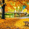 Autumn At Boston Garden Art Paint By Numbers