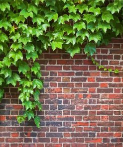 Green Climbing Ivy Paint By Numbers