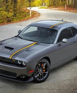 Grey Dodge Challenger Scat Paint By Numbers