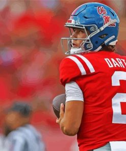 Ole Miss Football Player Back Paint By Numbers