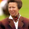 Princess Anne Paint By Numbers