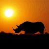 Rhino Sunset Silhouette Paint By Numbers