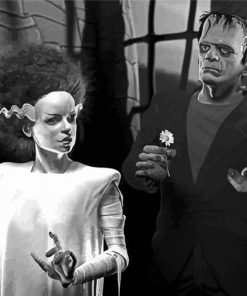 The Bride Of Frankenstein Horror Movie Paint By Numbers