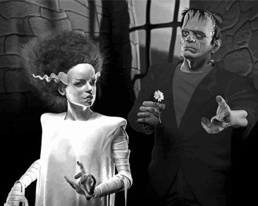 The Bride Of Frankenstein Horror Movie Paint By Numbers