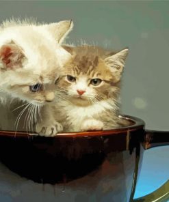 Two Kittens In A Cup Paint By Numbers