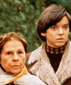 Vintage Harold And Maude Paint By Numbers