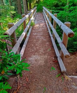 Wooden Bridge In The Woodland Paint By Numbers