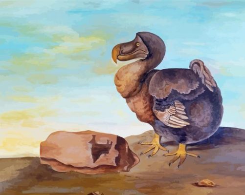 Aesthetic Dodo Bird Paint By Numbers