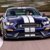 Aesthetic Shelby GT350 Paint By Numbers